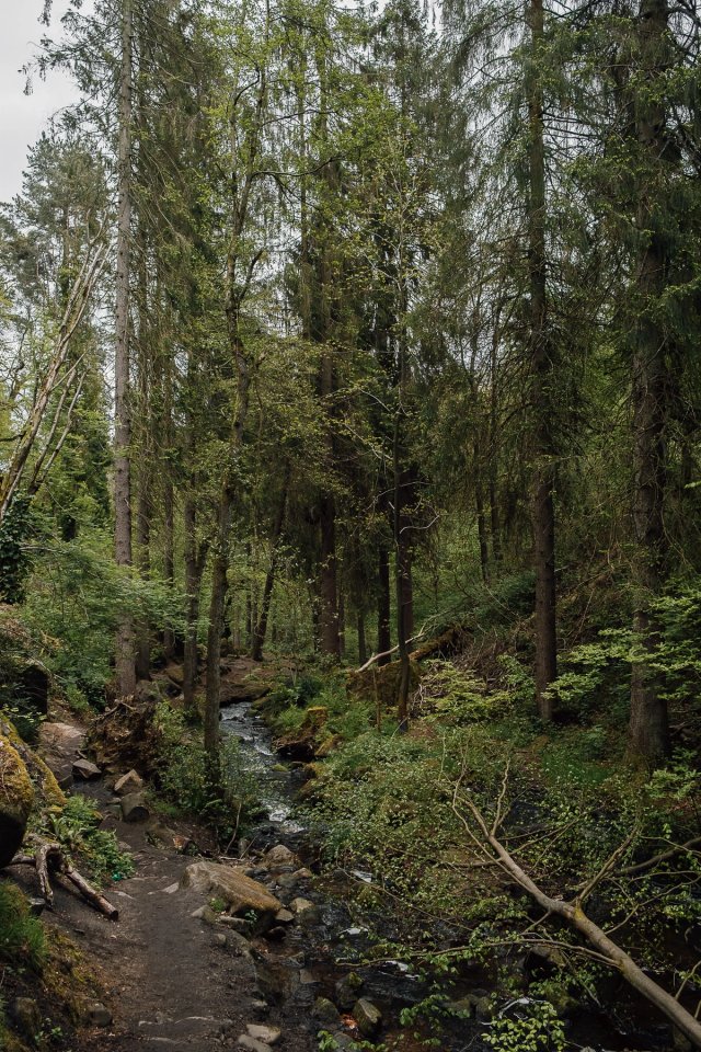 Wyming Brook in Spring post thumbnail