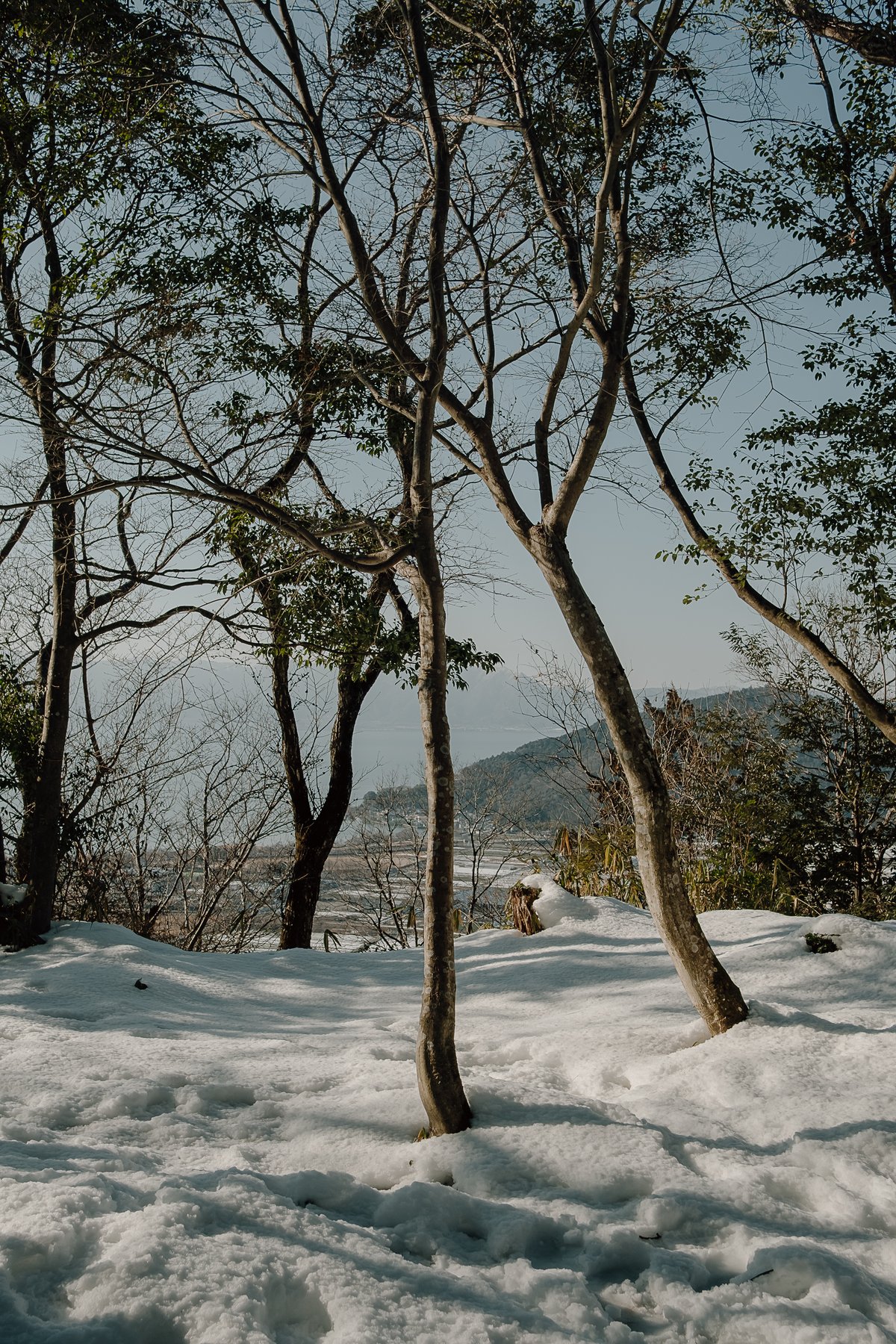 Mount Hachiman post thumbnail