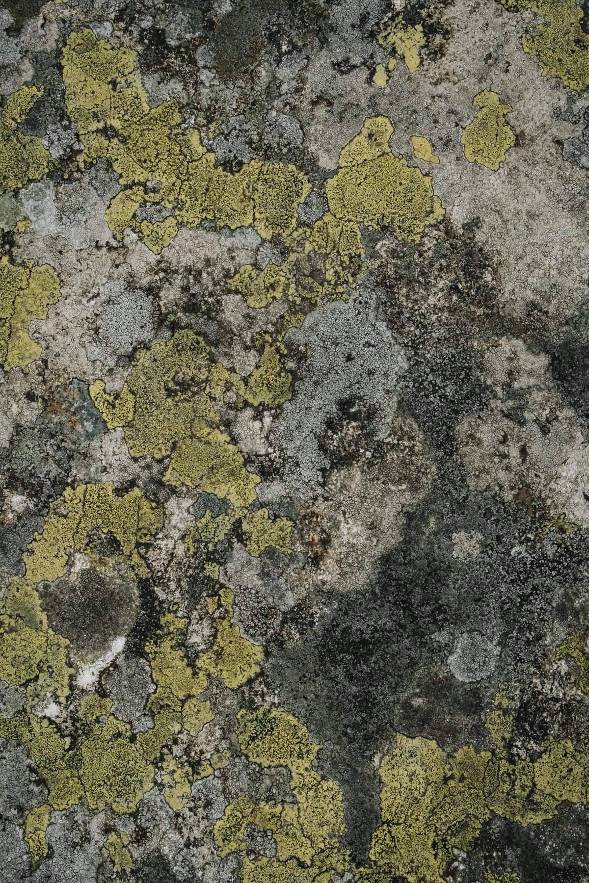 Snowdonia National Park post thumbnail