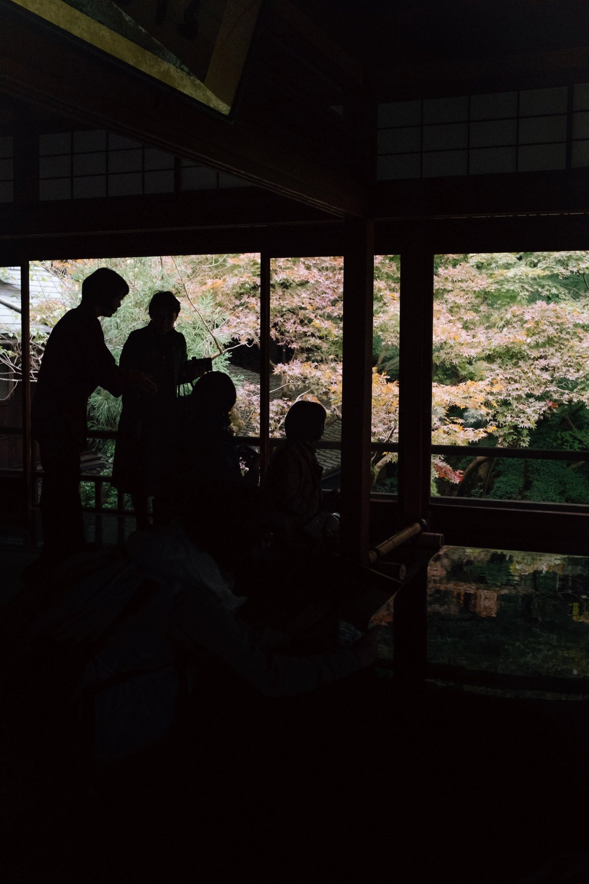 Silhouette Garden post thumbnail