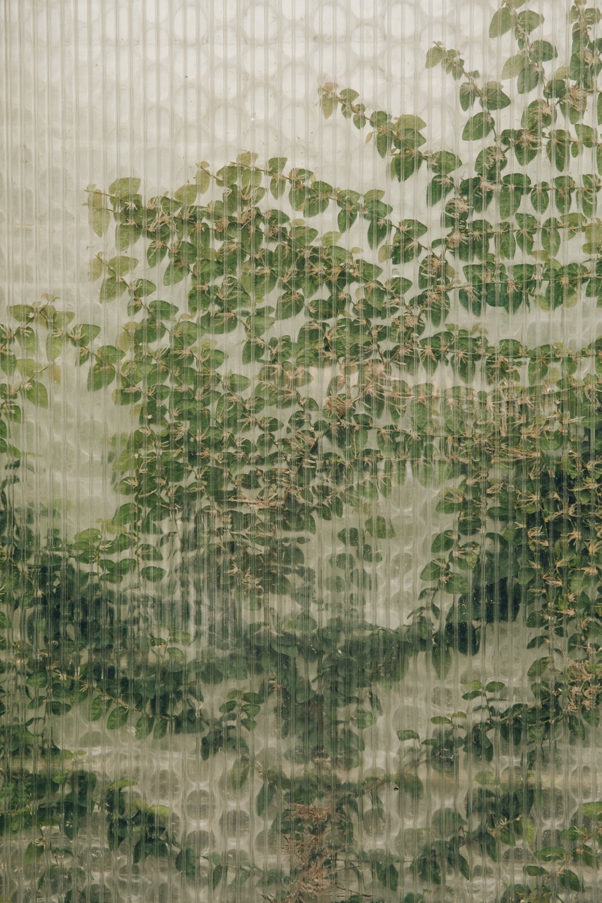 Jungle Experience post thumbnail