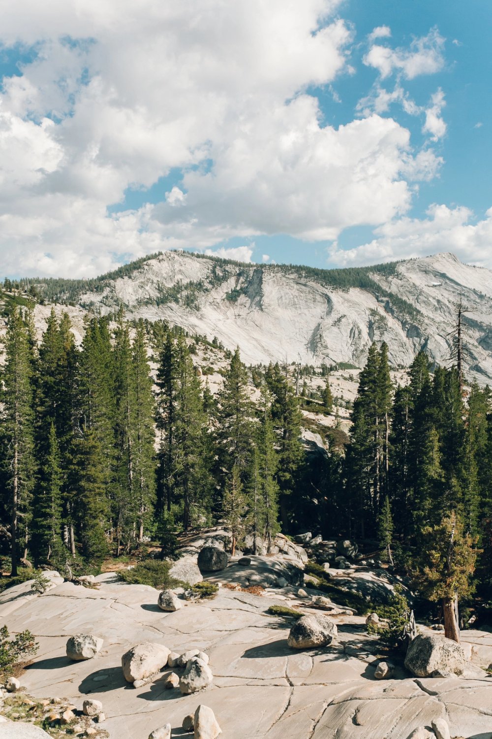 Yosemite National Park post thumbnail