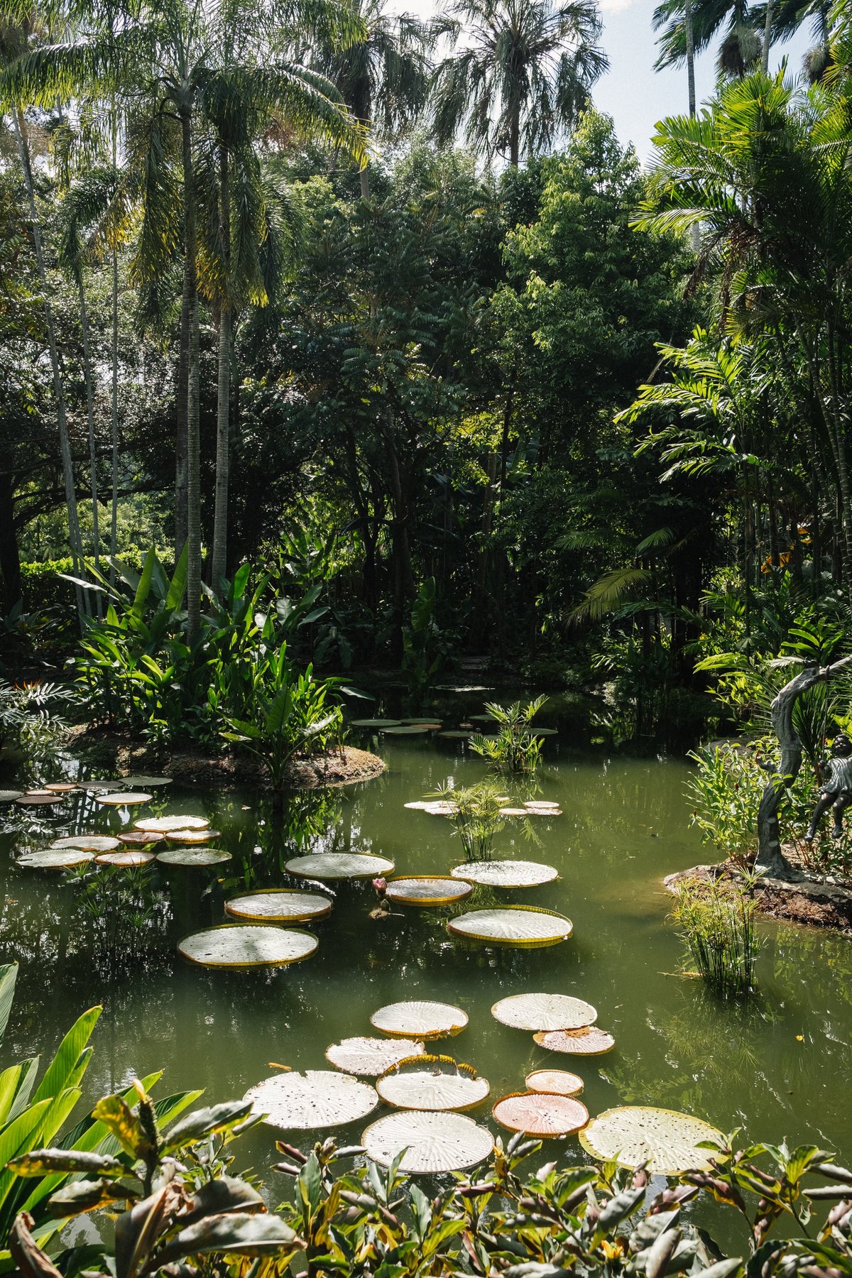 Singapore Botanic Gardens post thumbnail
