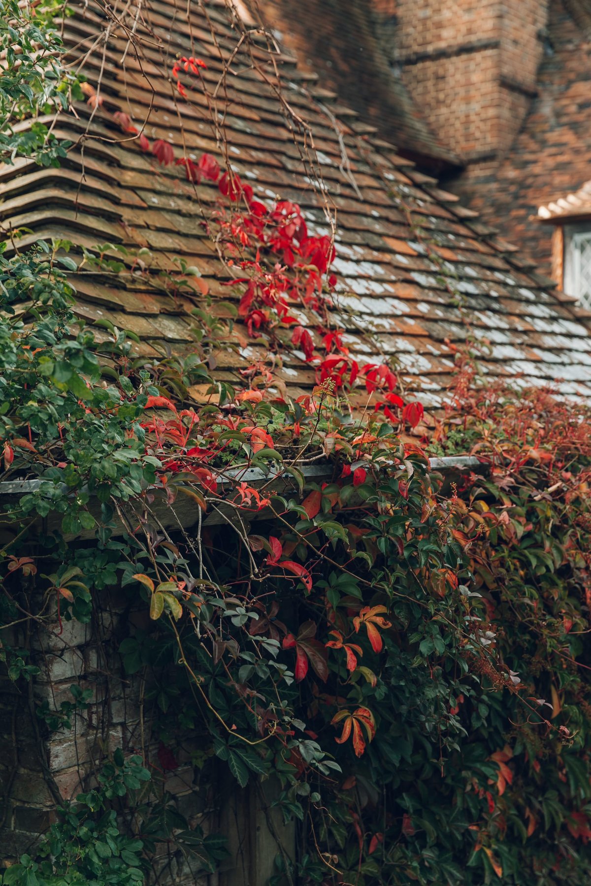 The Garden at Great Dixter post thumbnail