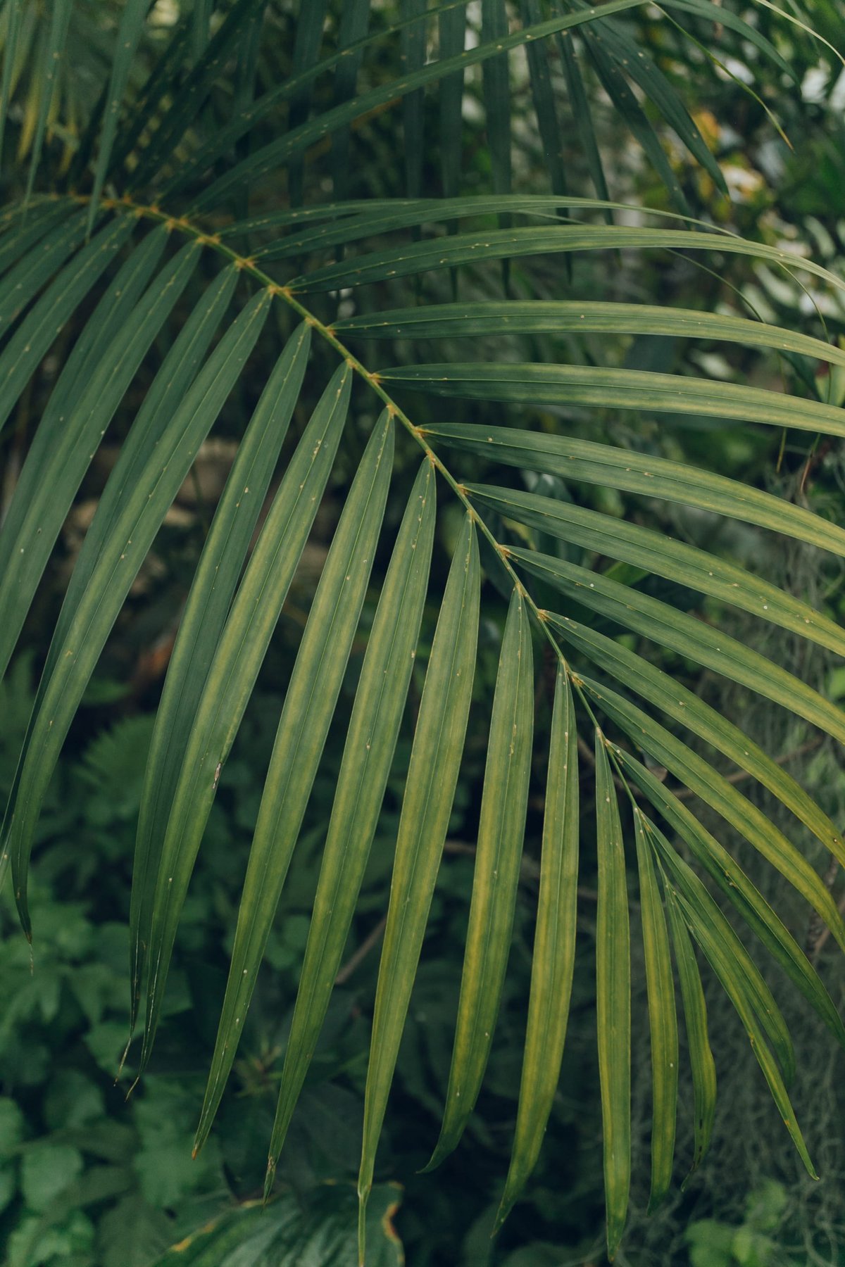 Cambridge Botanic Garden post thumbnail