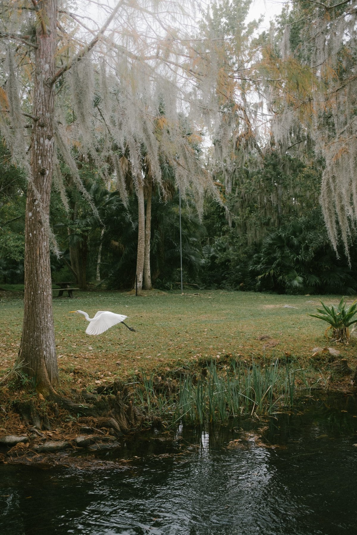 Mead Botanical Garden post thumbnail