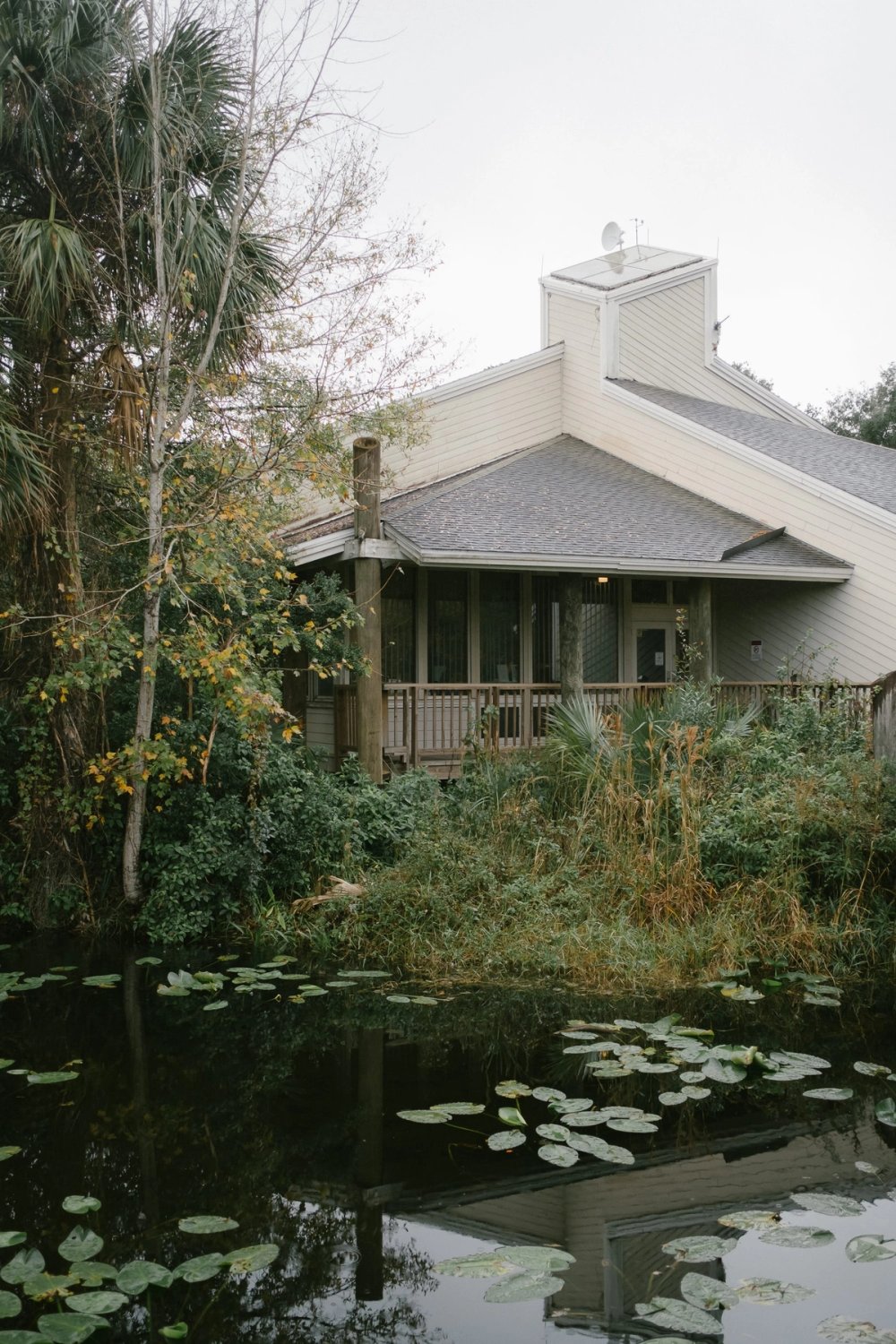 Merritt Island Wildlife Refuge post thumbnail