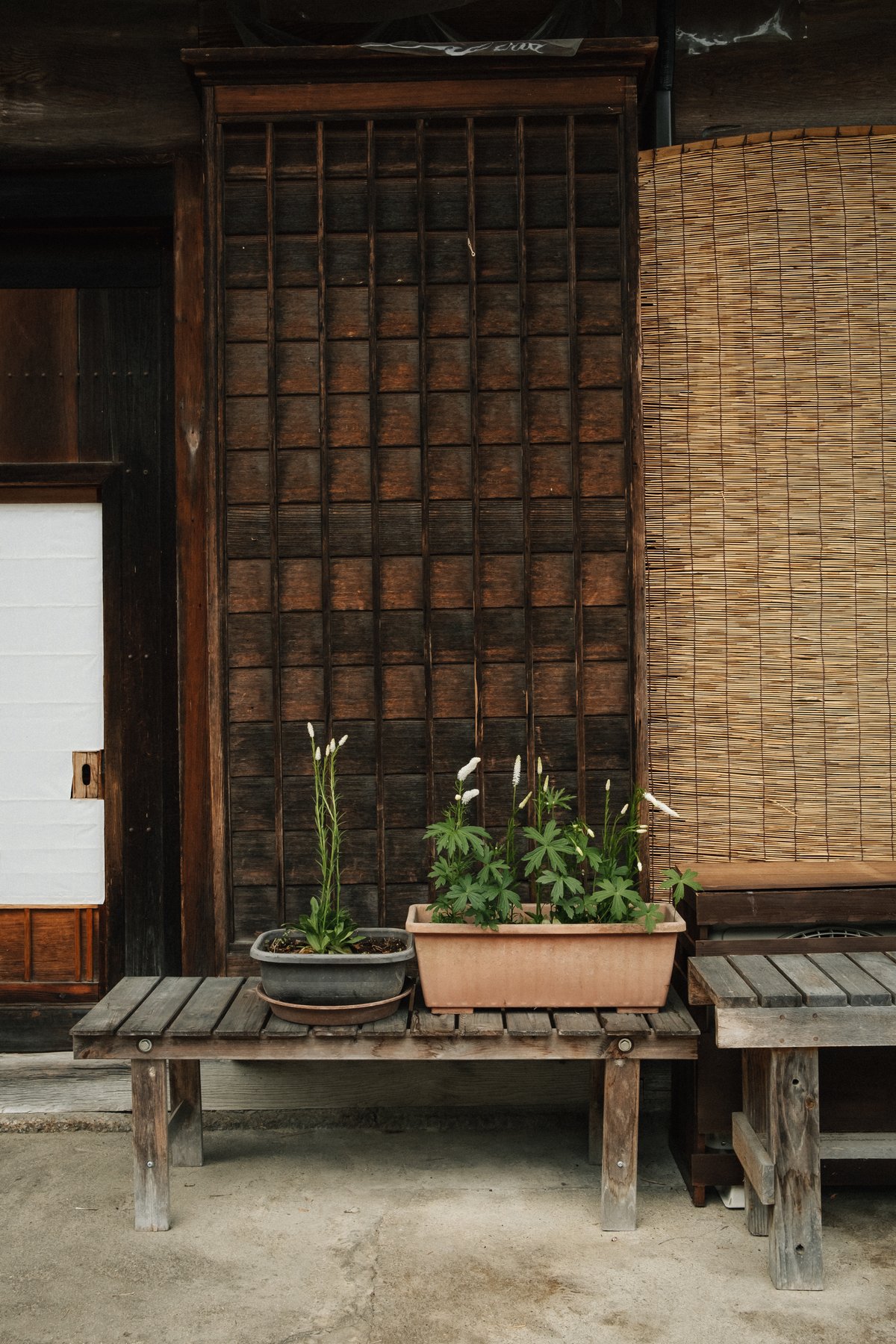 The Nakasendo Walk post thumbnail