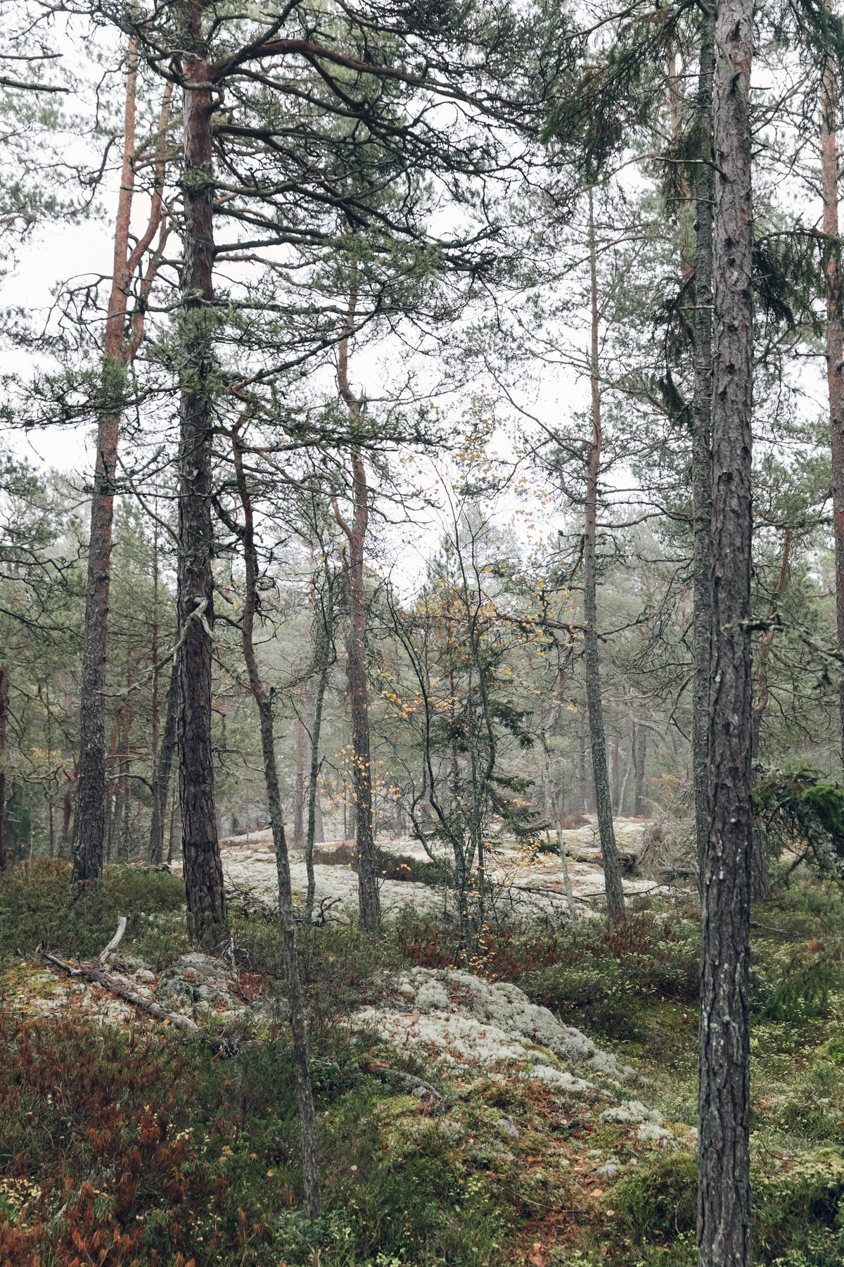 Gränsöleden post thumbnail