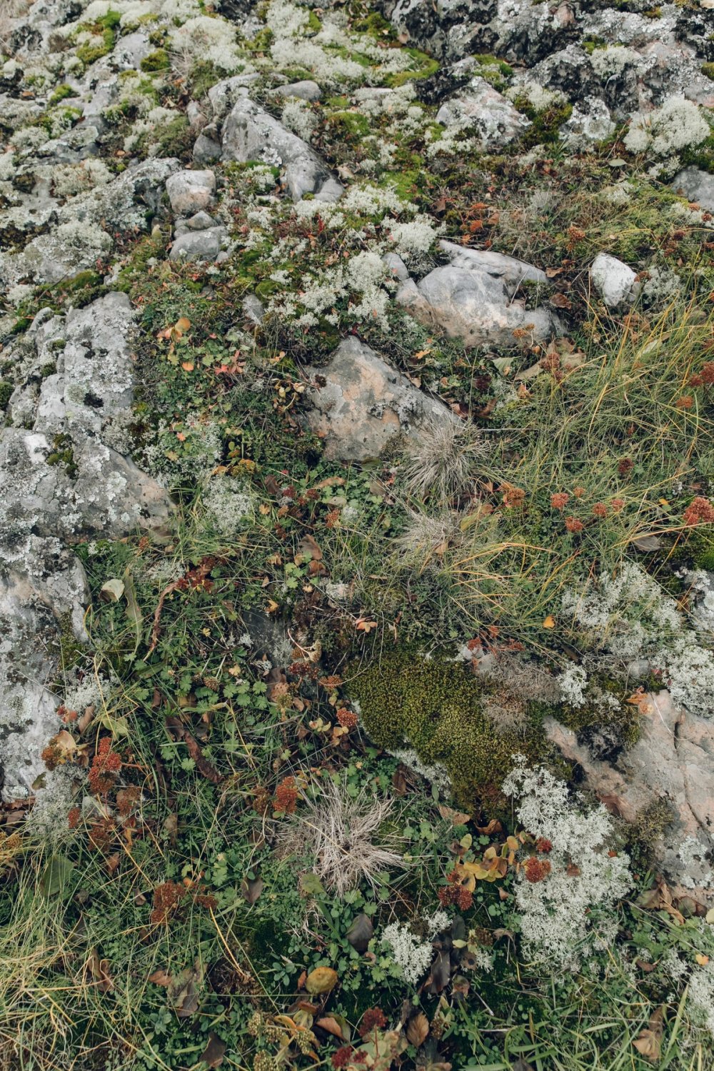 Västervik Archipelago & Hasselö Islands post thumbnail