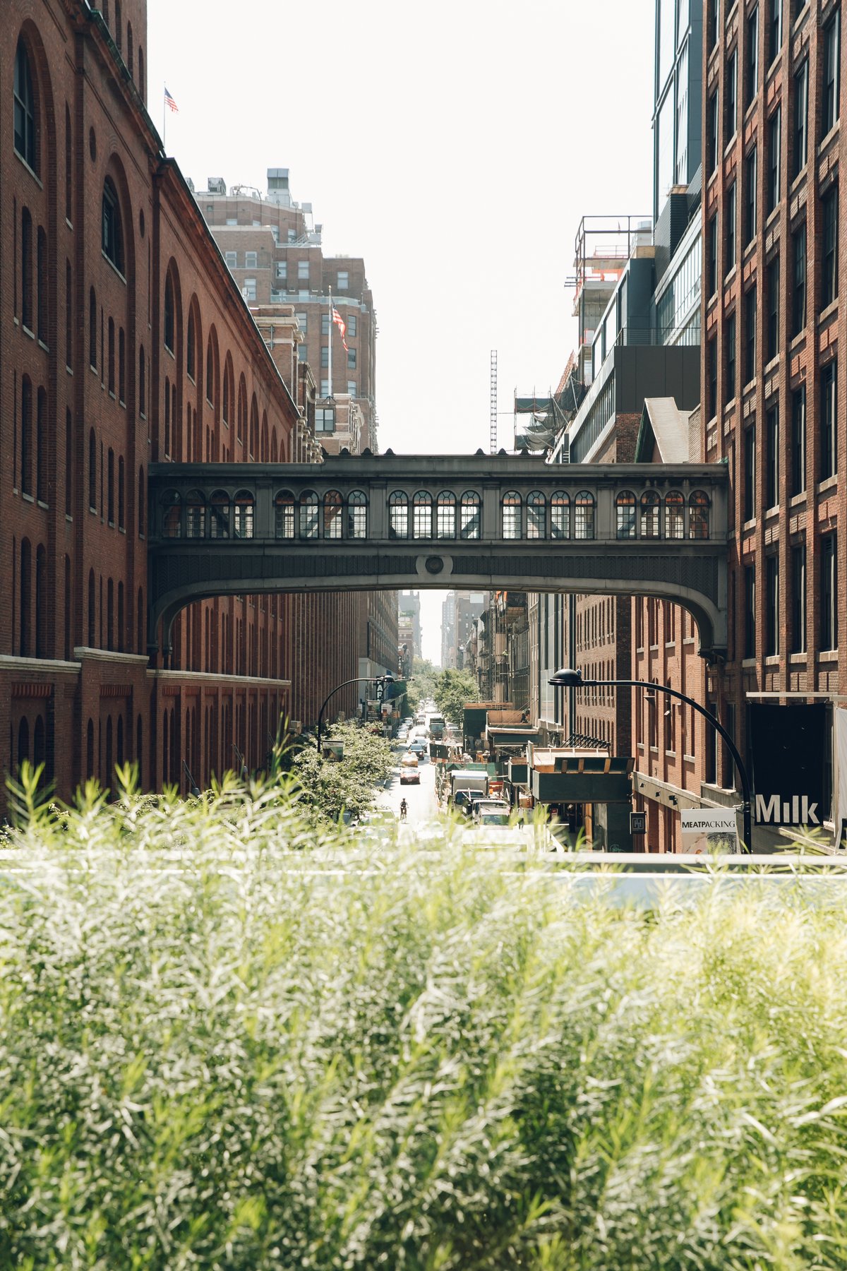 The High Line post thumbnail