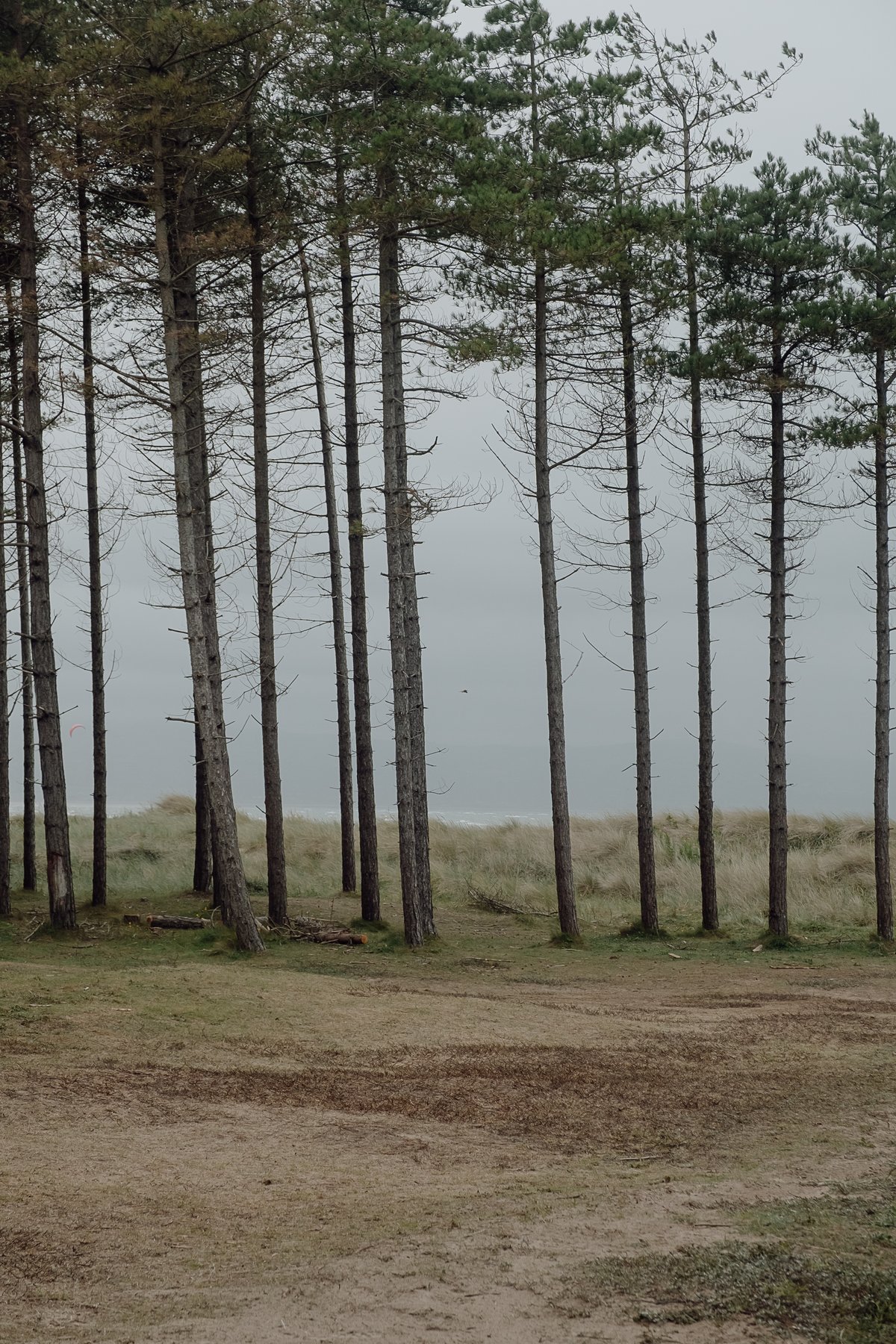 Newborough Nature Reserve post thumbnail
