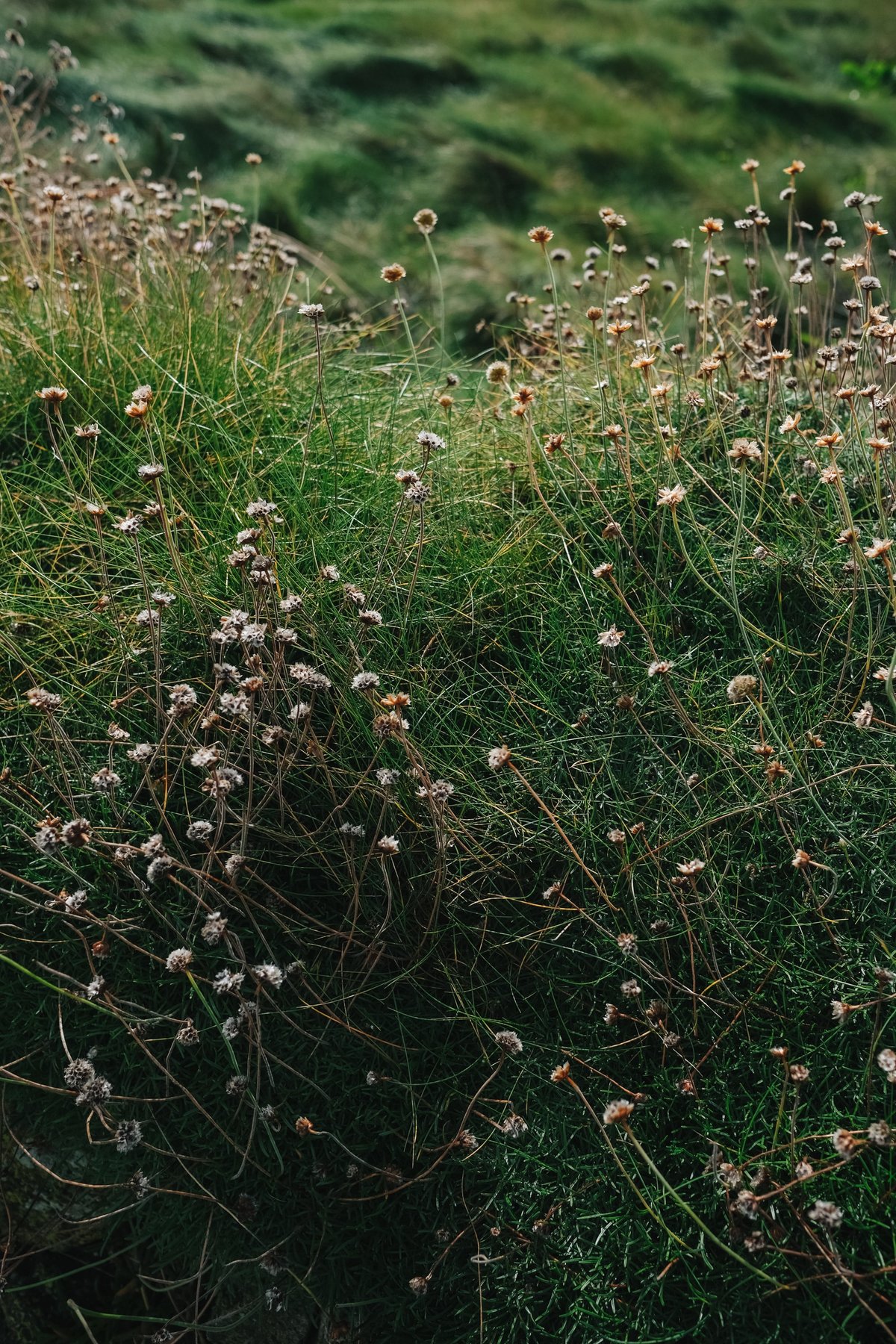 Porthleven post thumbnail