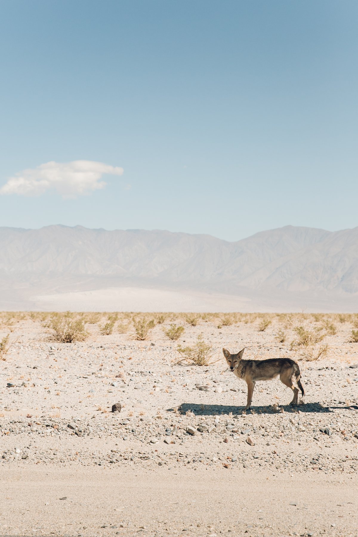 Death Valley National Park post thumbnail