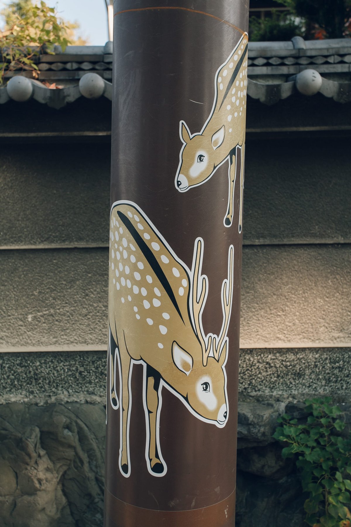 Nara Notes post thumbnail