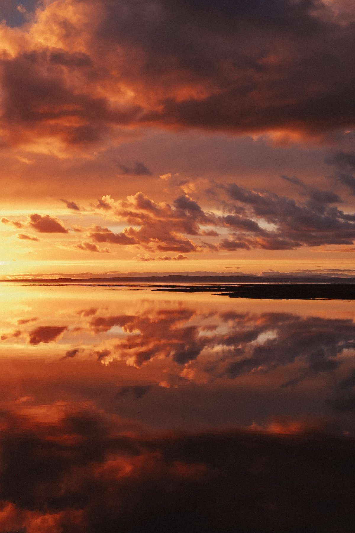 Sunset Geese on the Scottish Coast post thumbnail