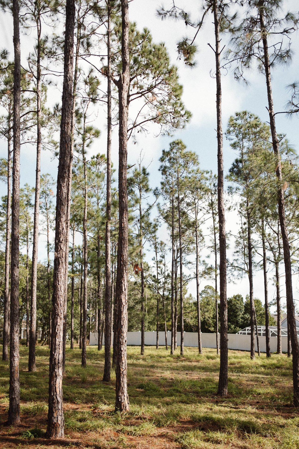 Florida Postcards post thumbnail