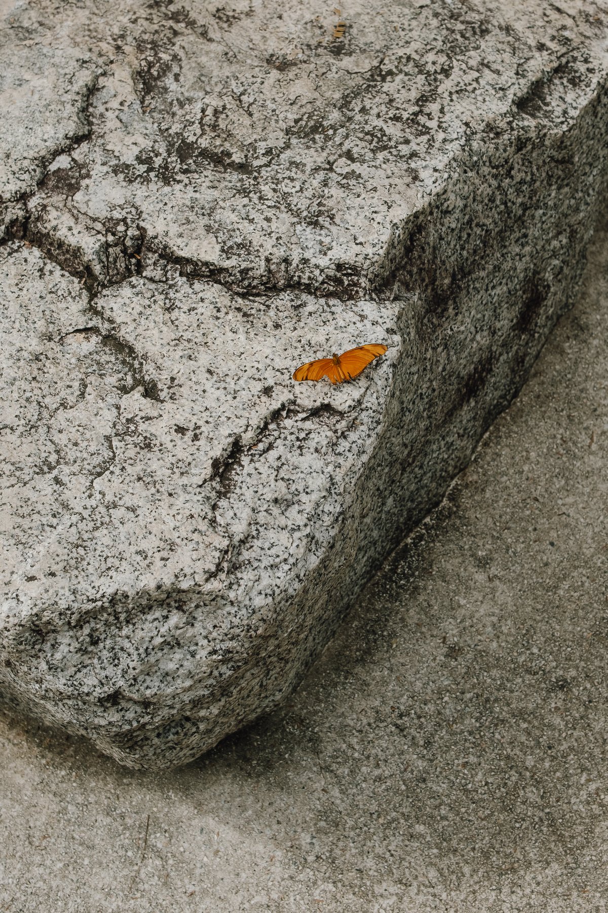 Bukit Batok Nature Park post thumbnail