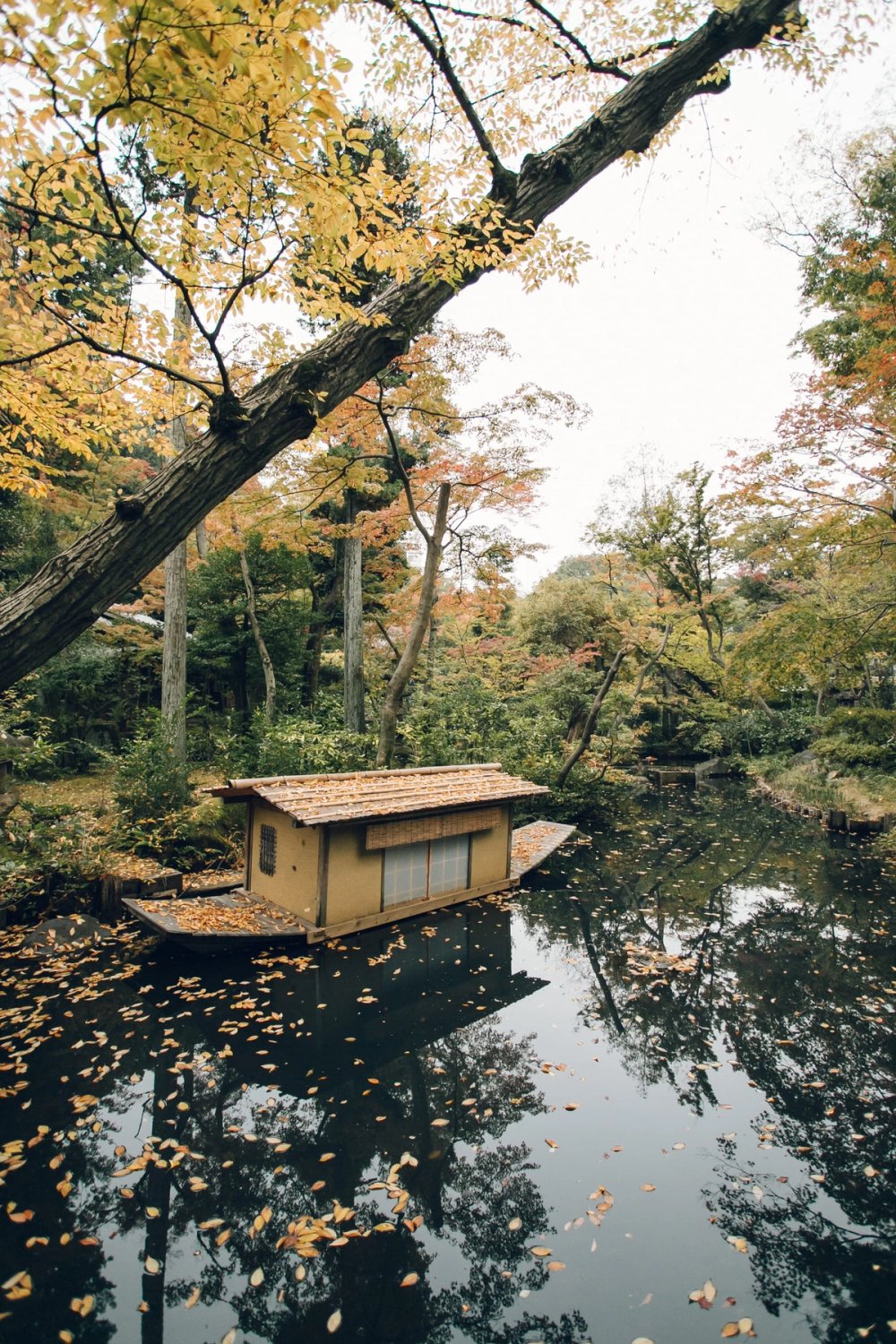 Nezu Museum and Garden post thumbnail