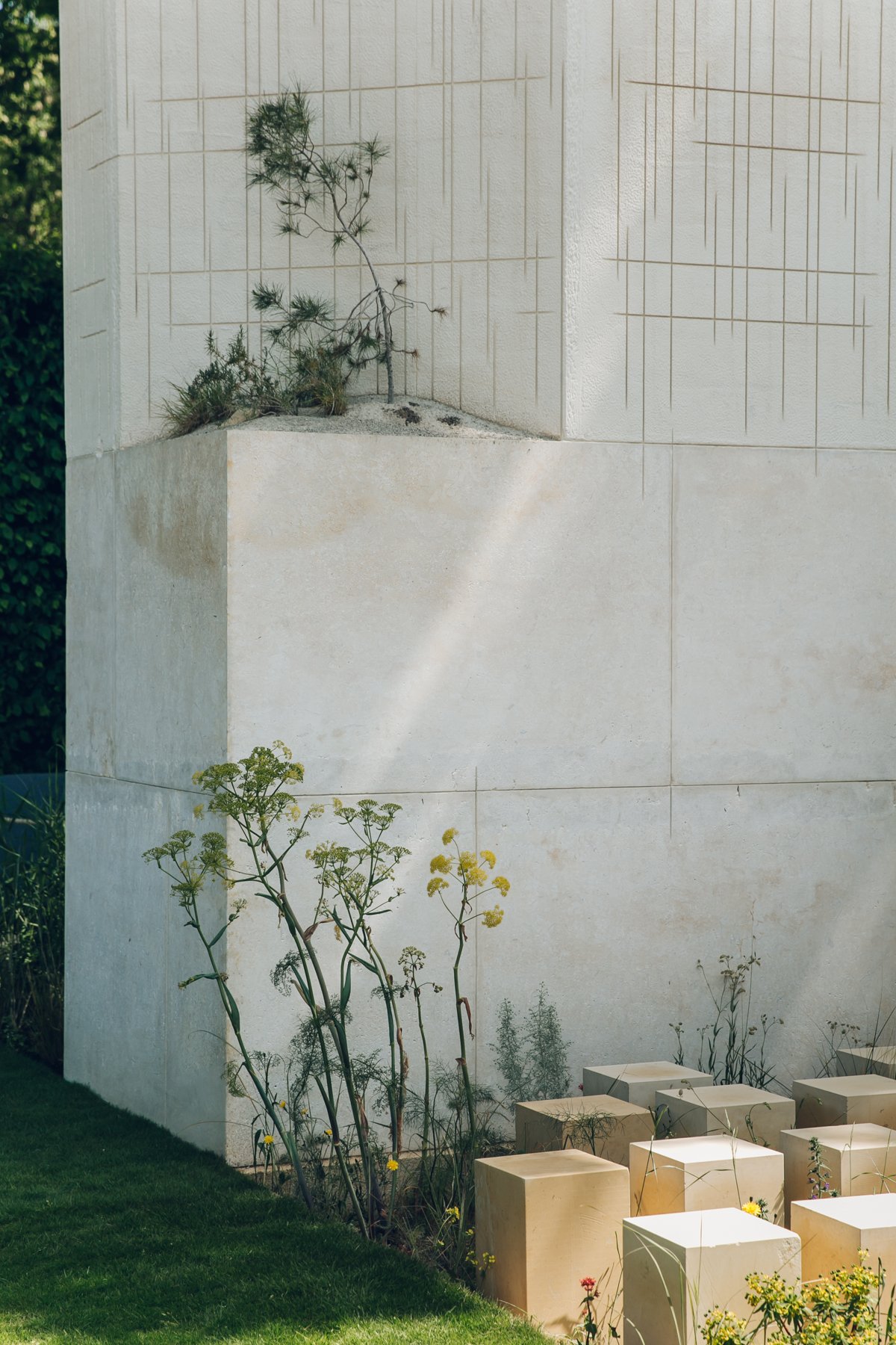 RHS Chelsea Flower Show Highlights post thumbnail