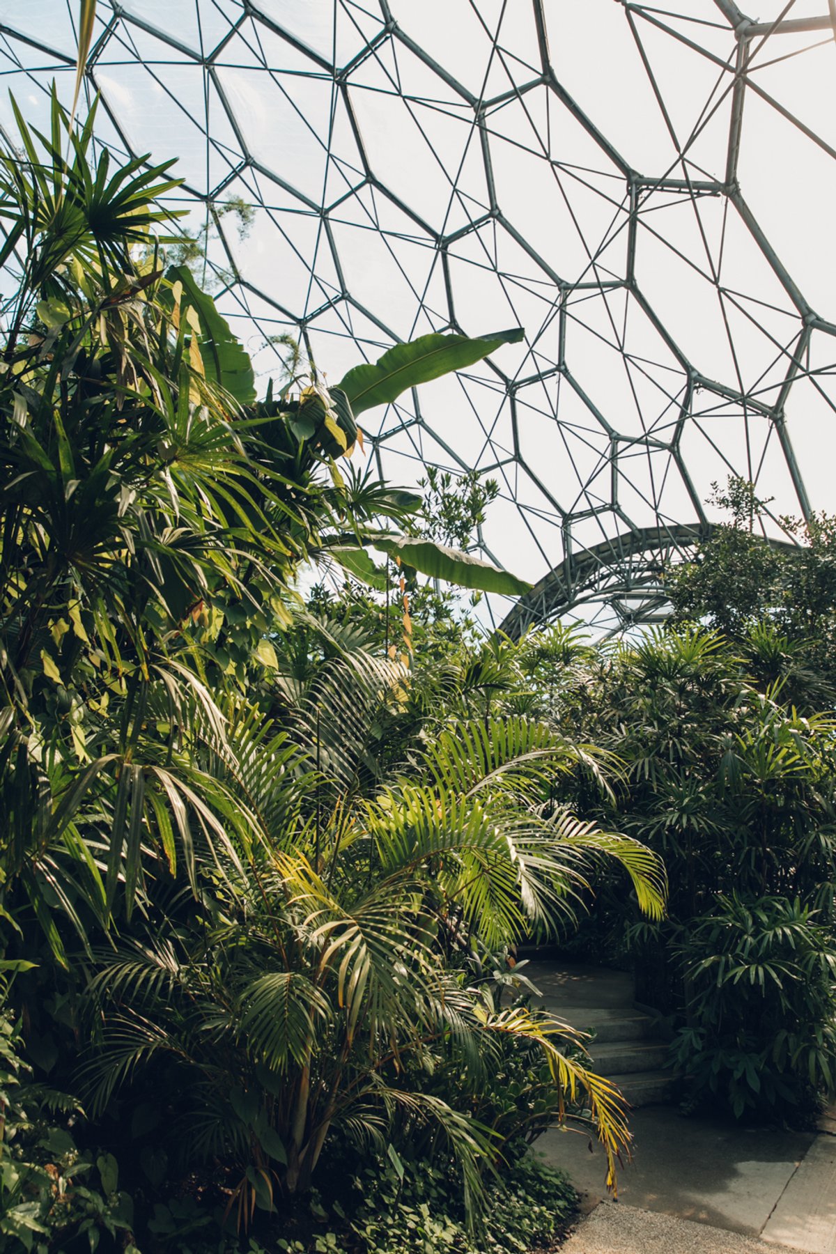 The Eden Project Rainforest Biome post thumbnail