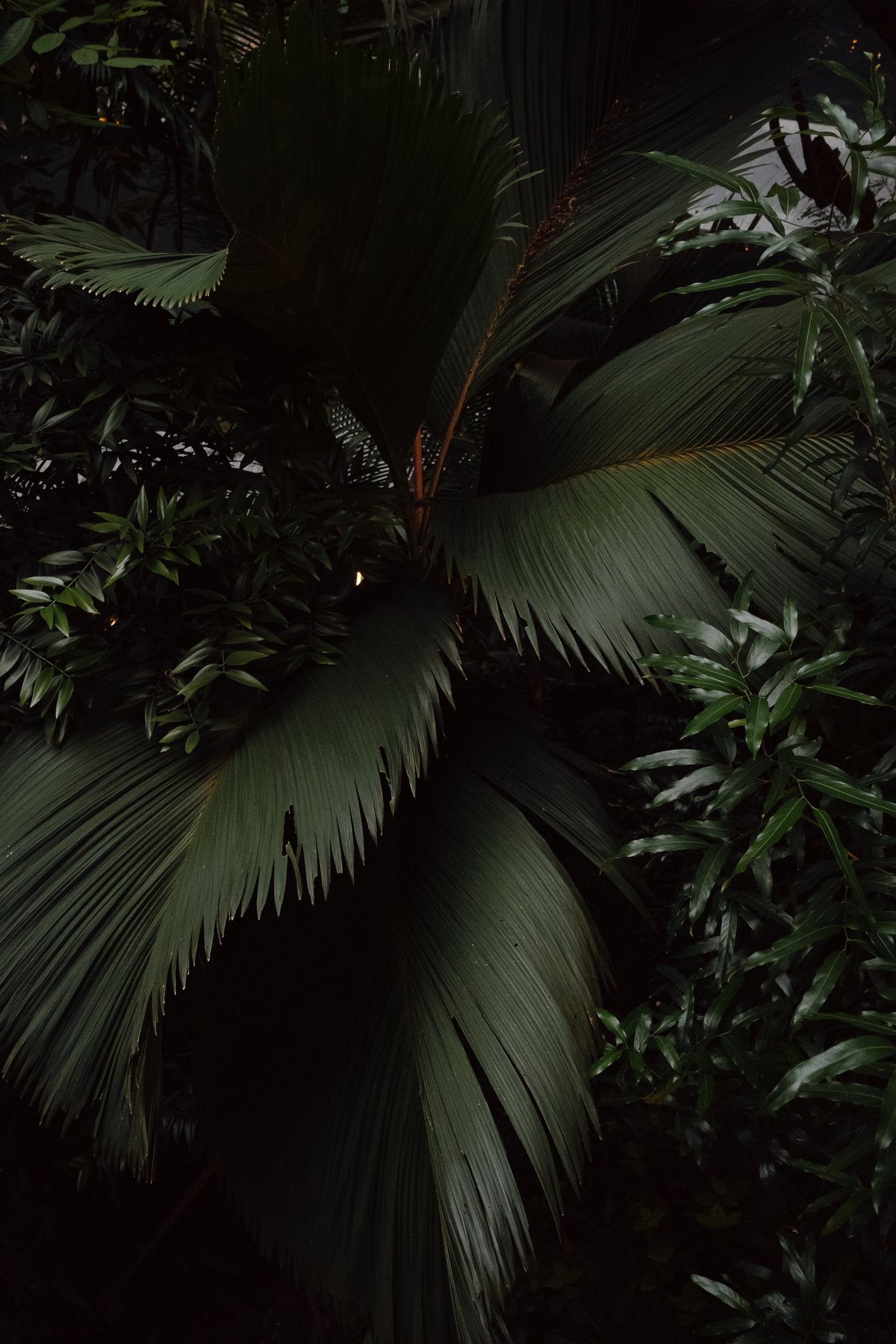 Green Heart at Marina One post thumbnail