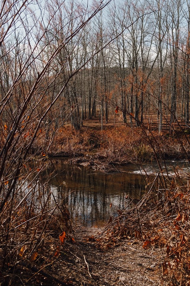 Windham Path post thumbnail