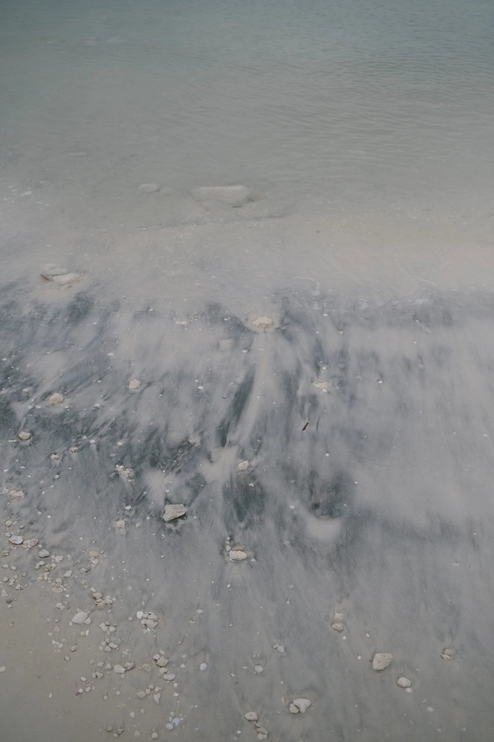 Honeymoon Island post thumbnail