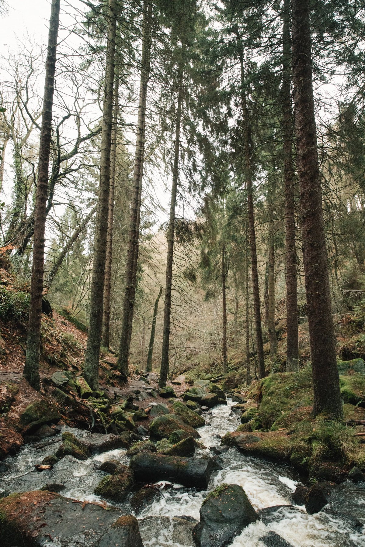 Wyming Brook Nature Reserve post thumbnail