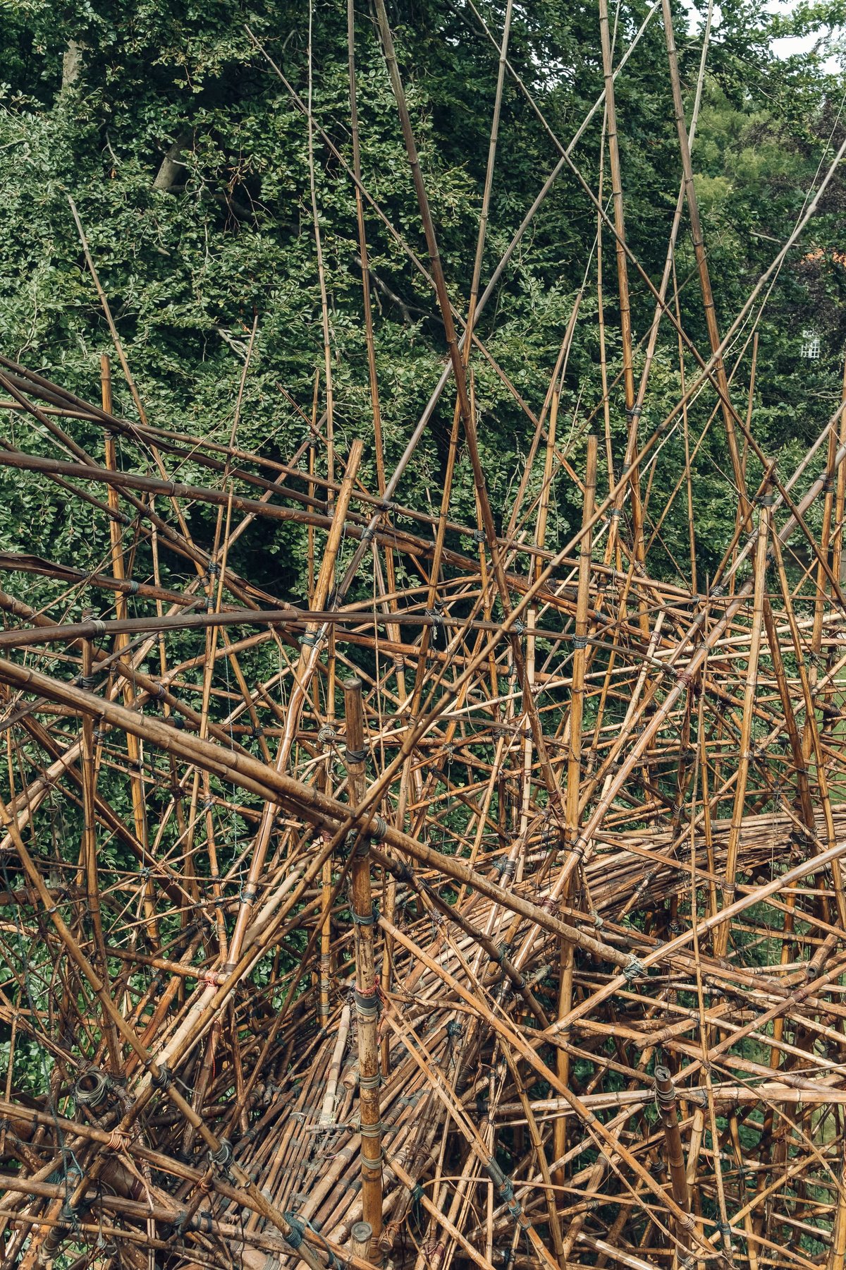 Geometry of Innocence post thumbnail