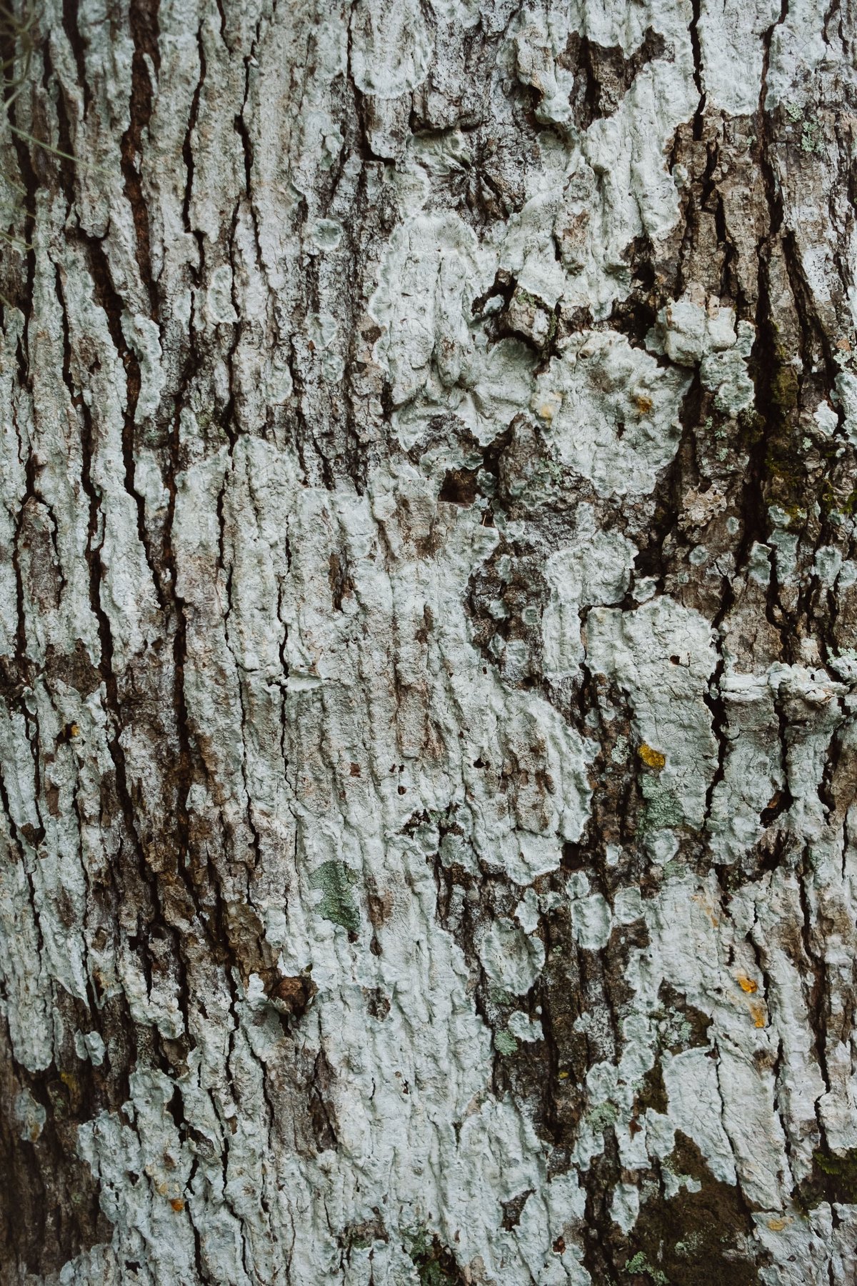 Oakland Nature Reserve post thumbnail