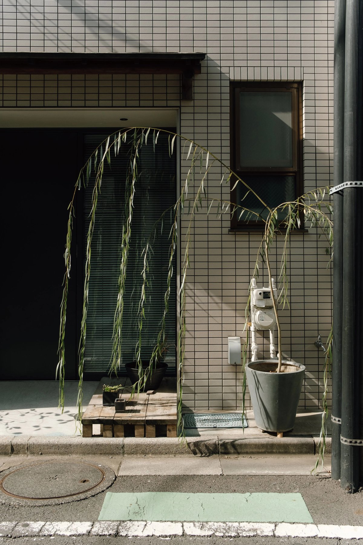 Container Gardens in Japan post thumbnail