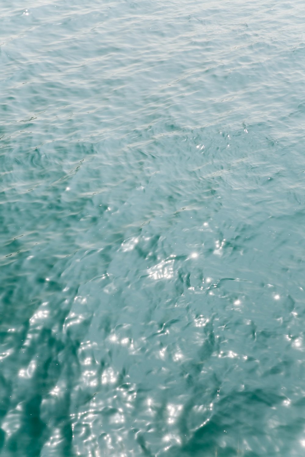 Santa Monica Pier post thumbnail
