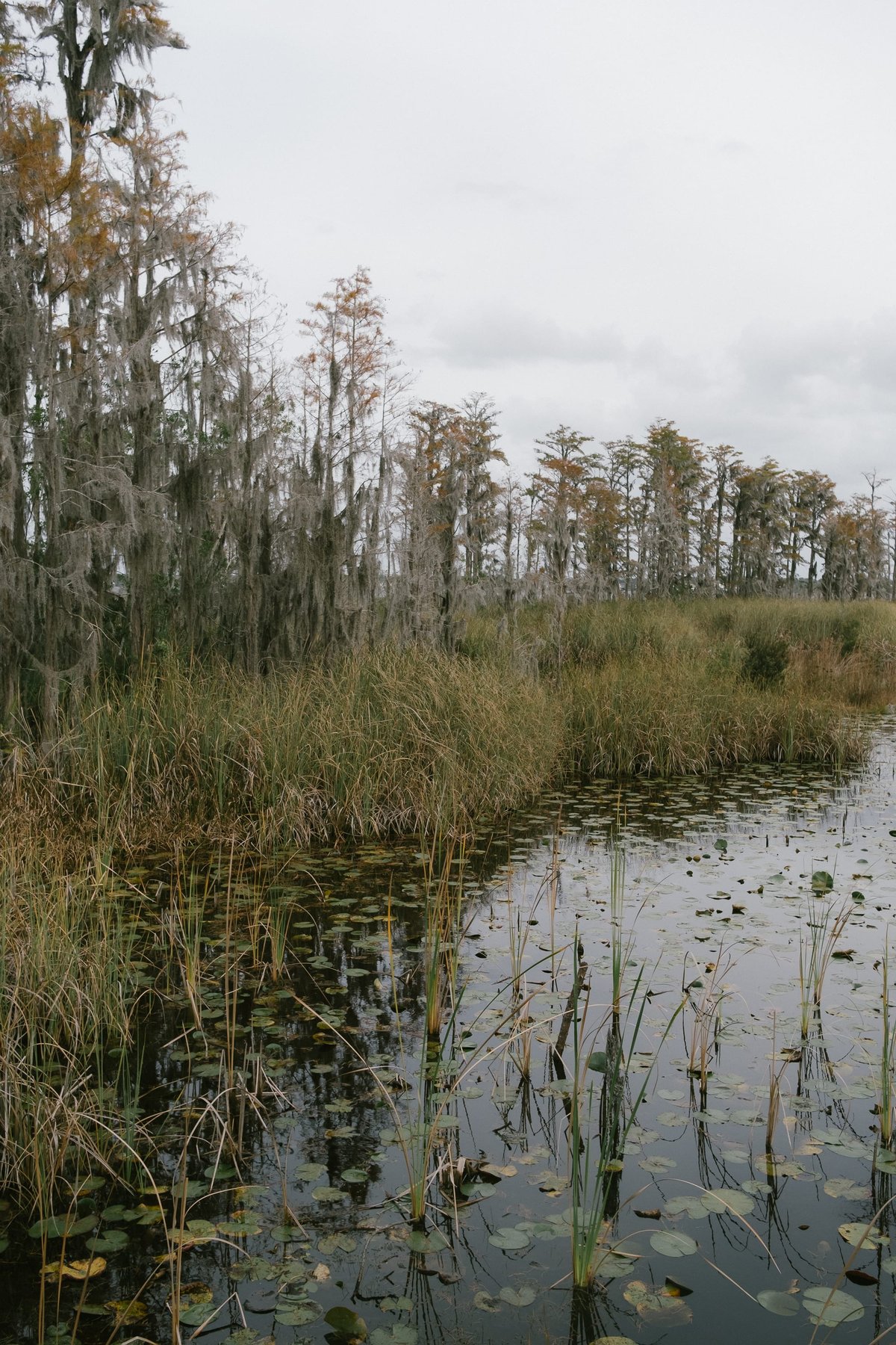 Tibet-Butler Nature Reserve post thumbnail