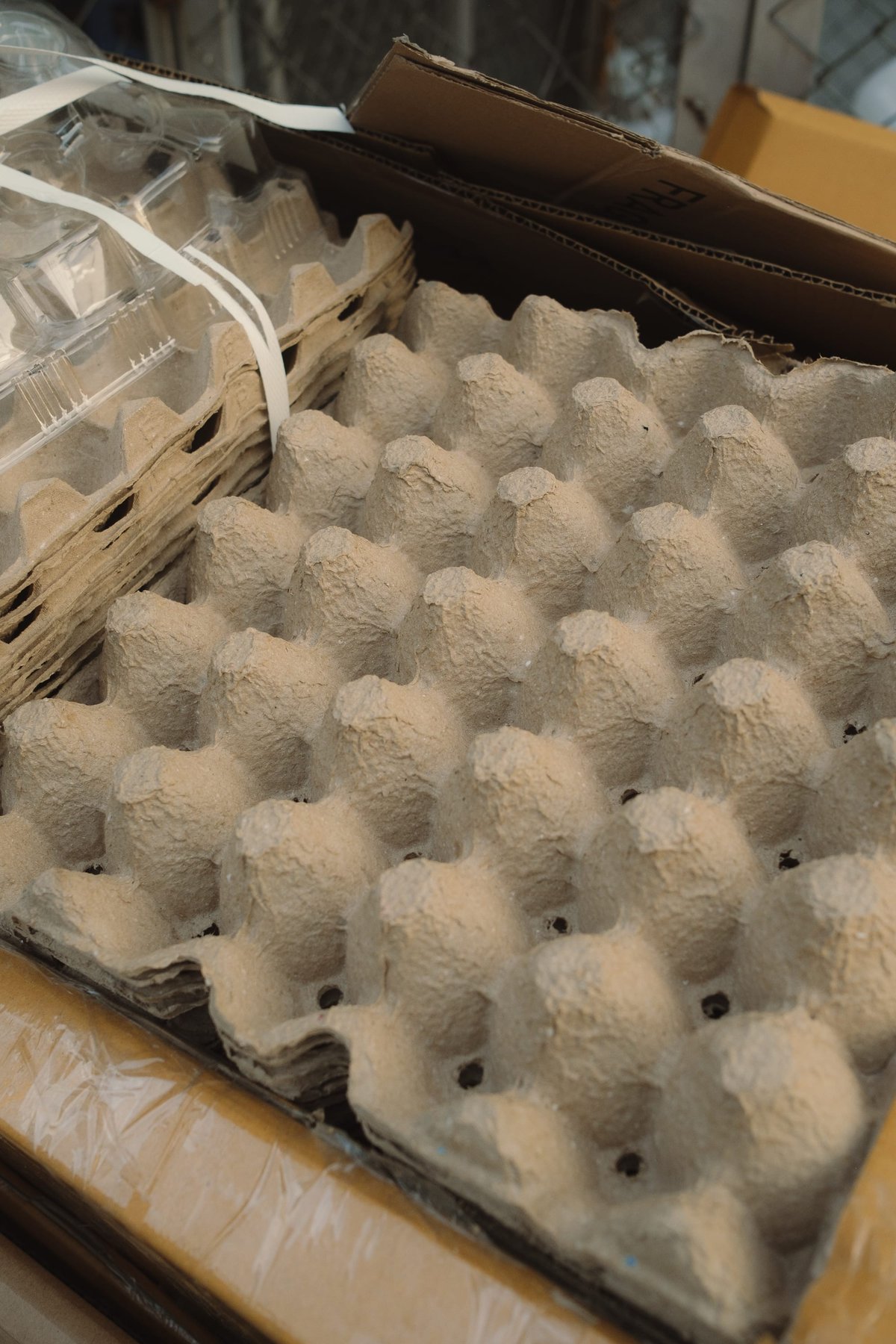 Egg Story post thumbnail