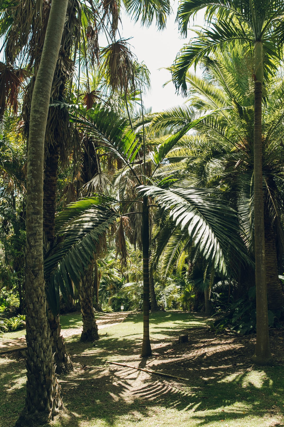 Andromeda Gardens in Barbados post thumbnail