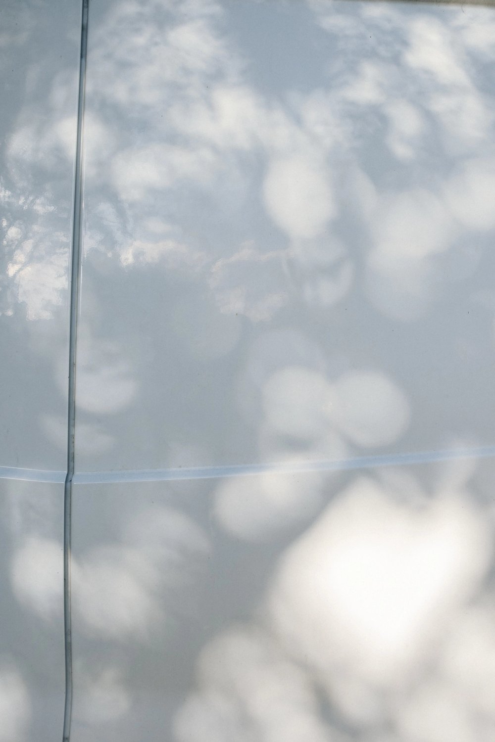 Dappled Light post thumbnail