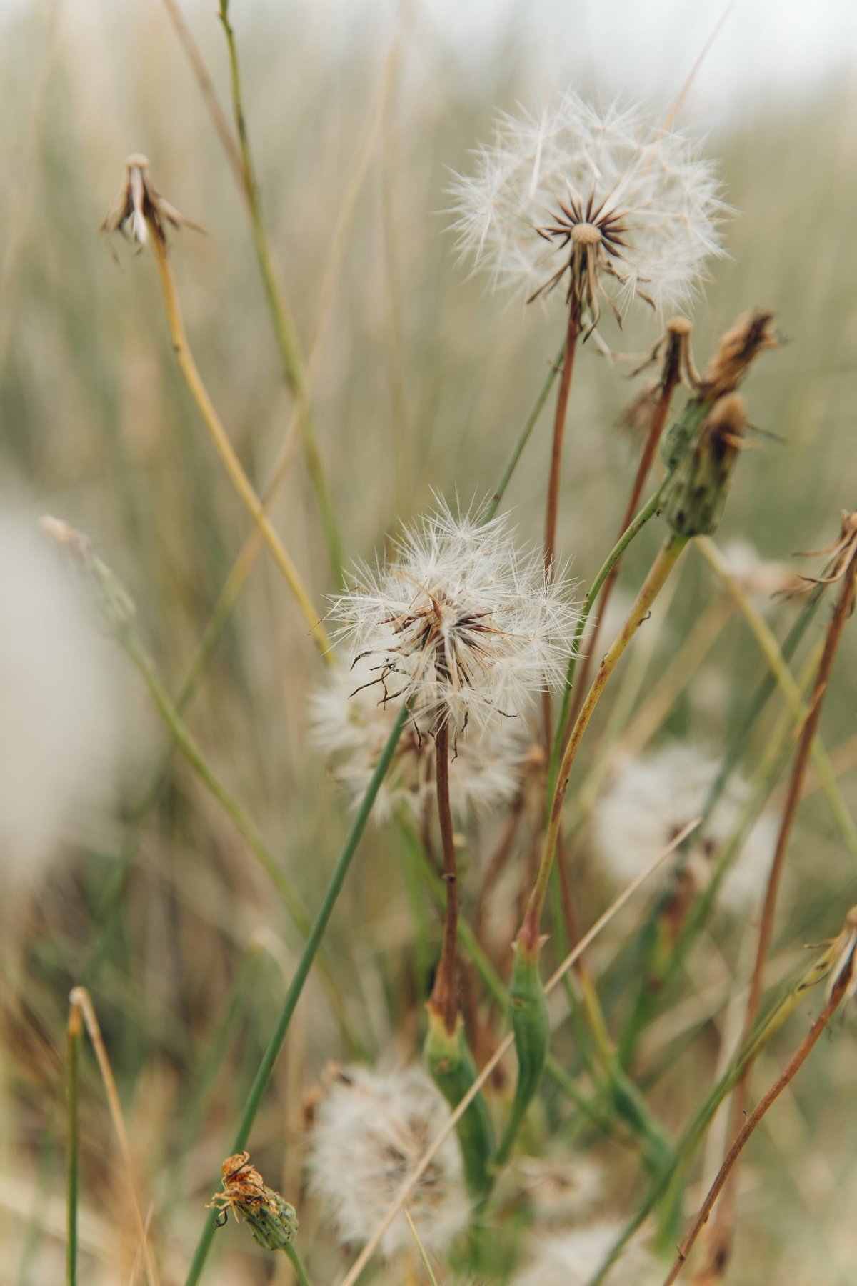 Winterton-on-Sea post thumbnail