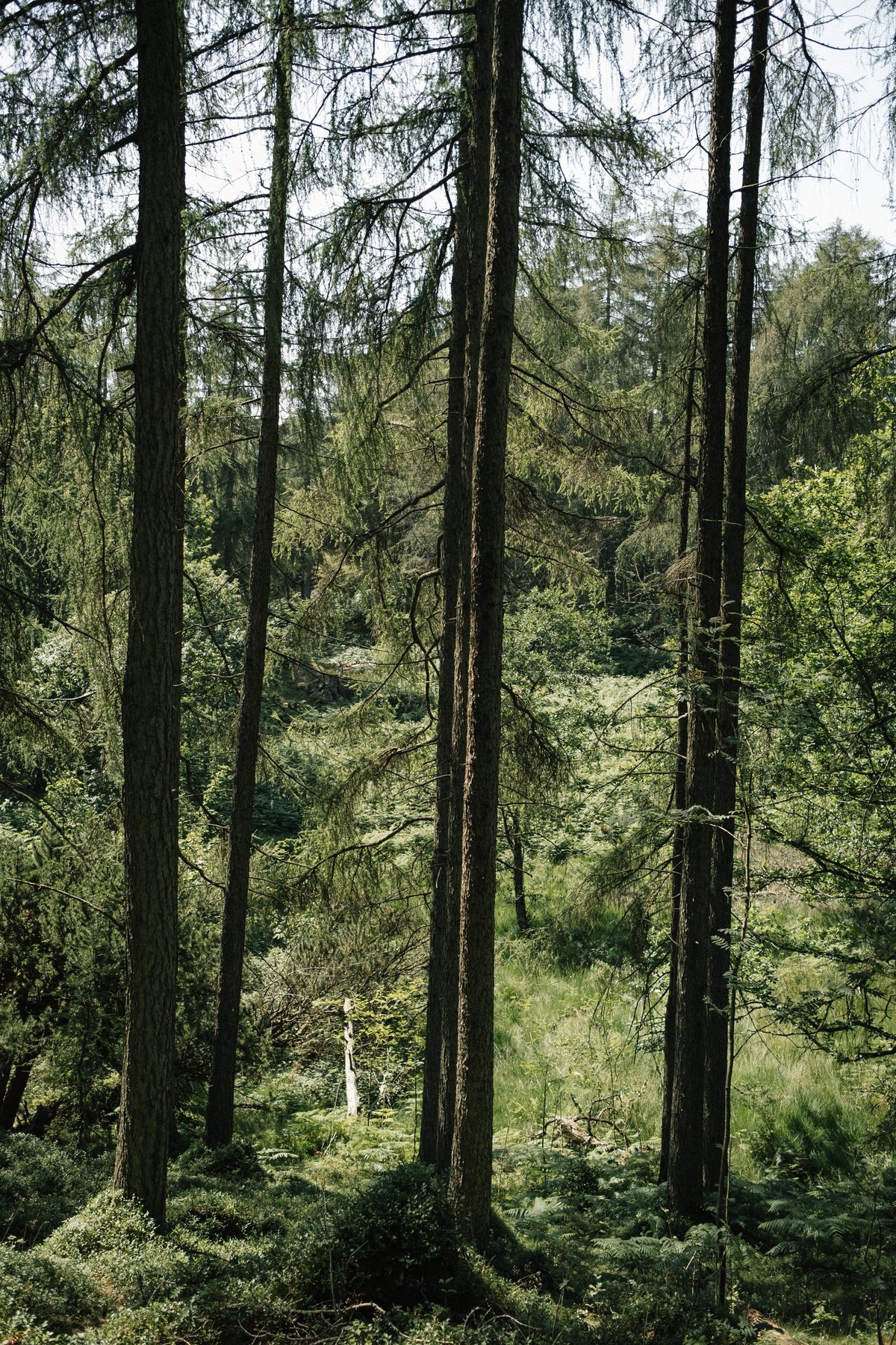 A Lake District Summer post thumbnail