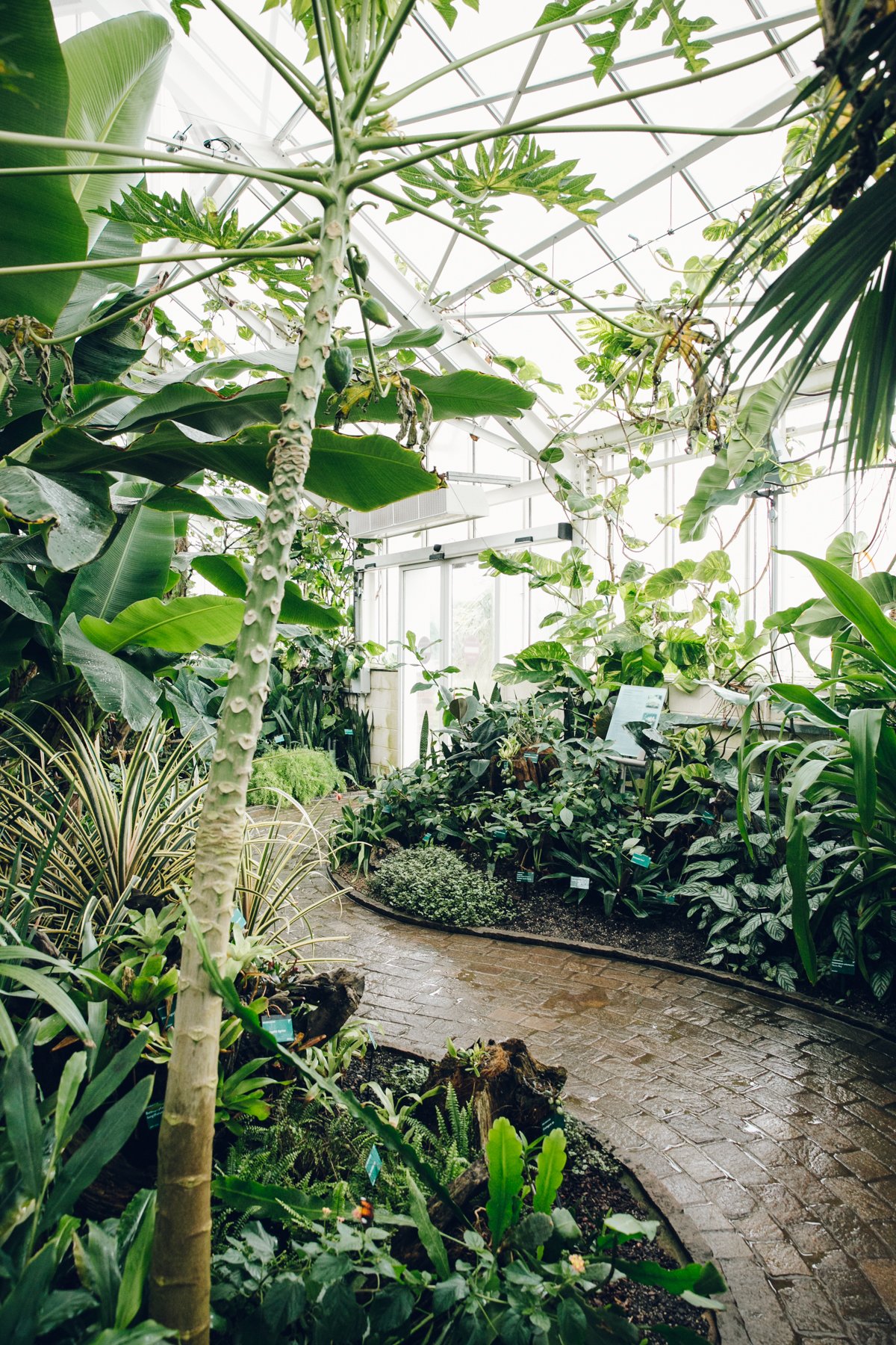 National Botanic Garden of Wales post thumbnail