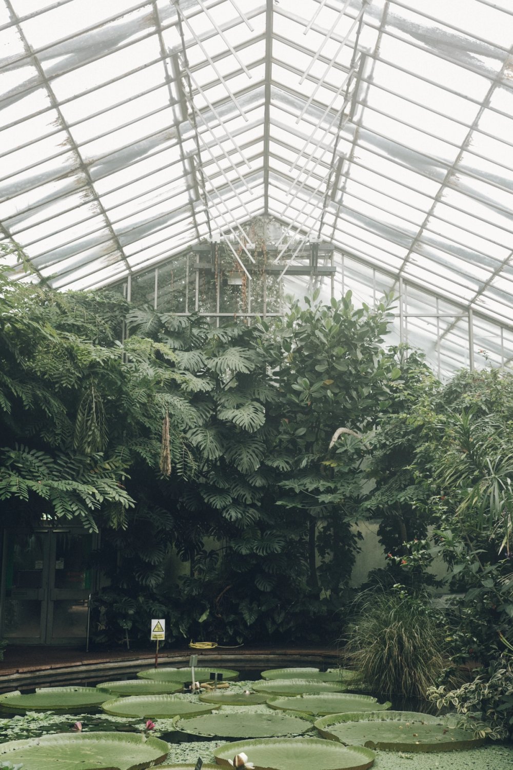 Royal Botanic Garden Edinburgh post thumbnail