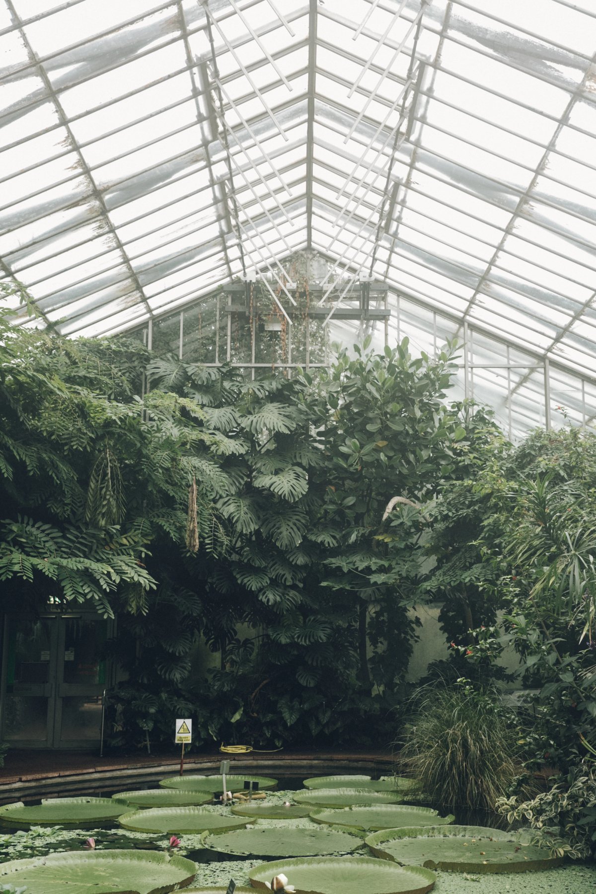 Royal Botanic Garden Edinburgh post thumbnail