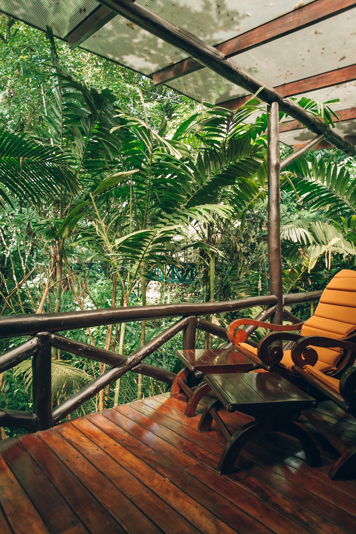 Nayara Hotel post thumbnail