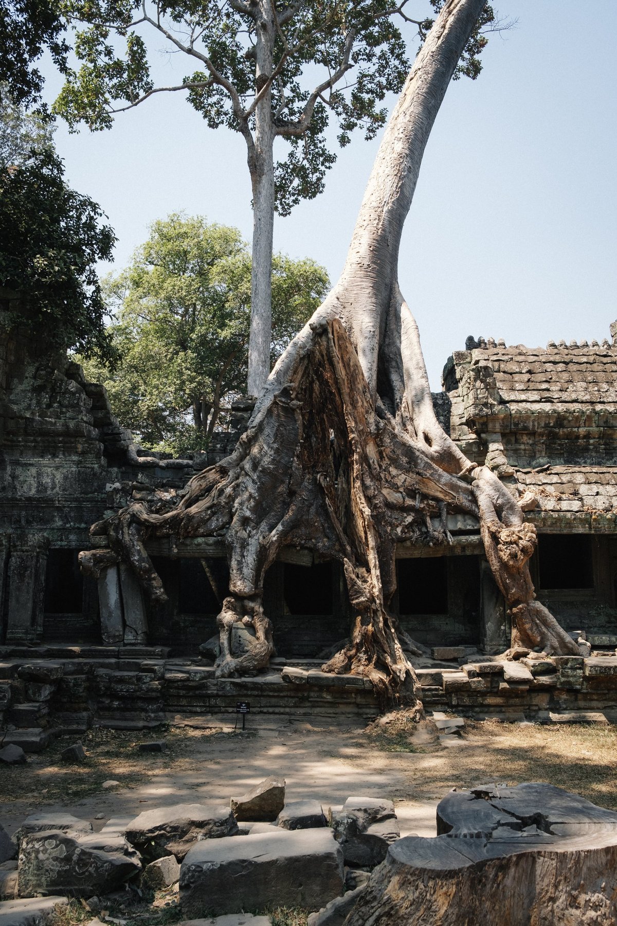 Ta Prohm Temple post thumbnail