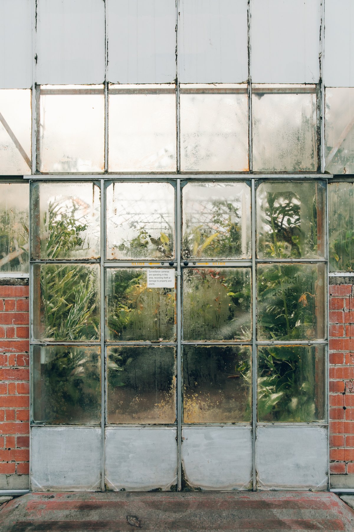 Royal Botanic Garden Victoria post thumbnail