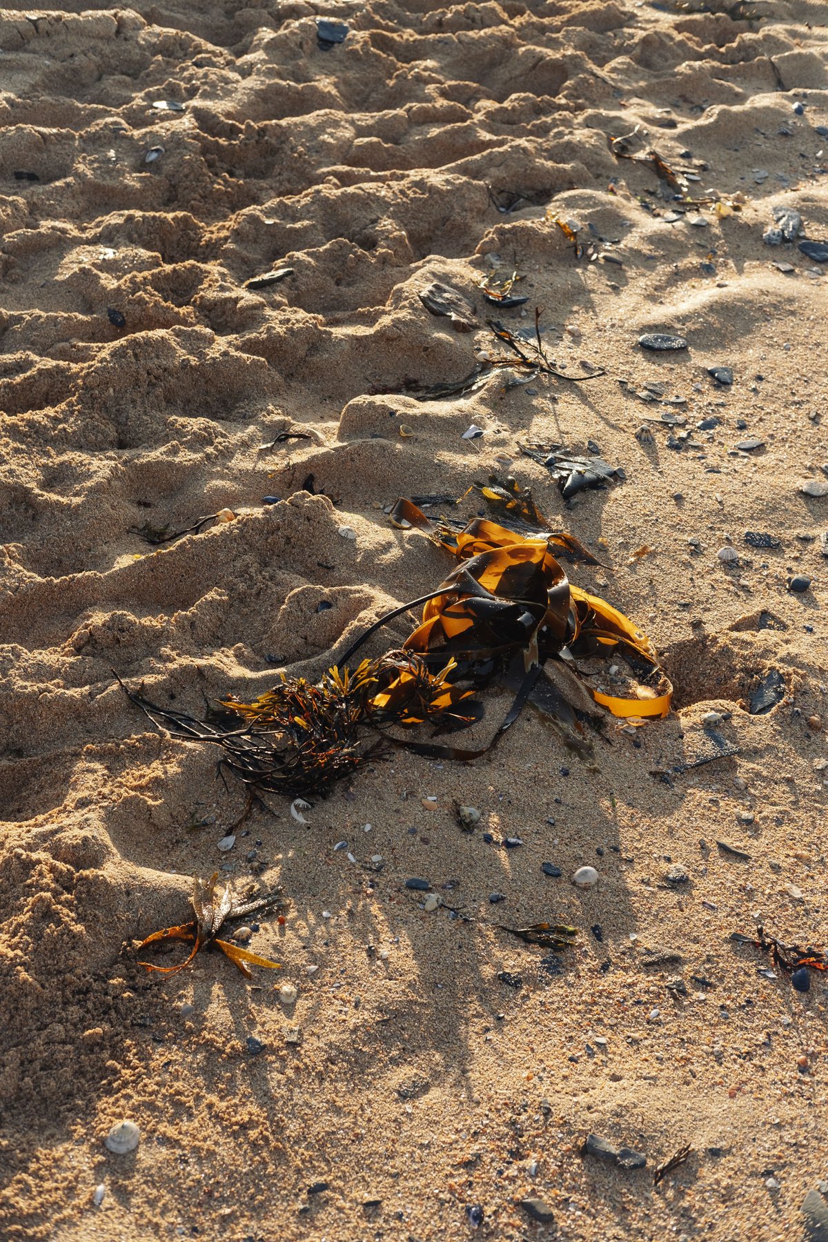 Gold Cornwall post thumbnail