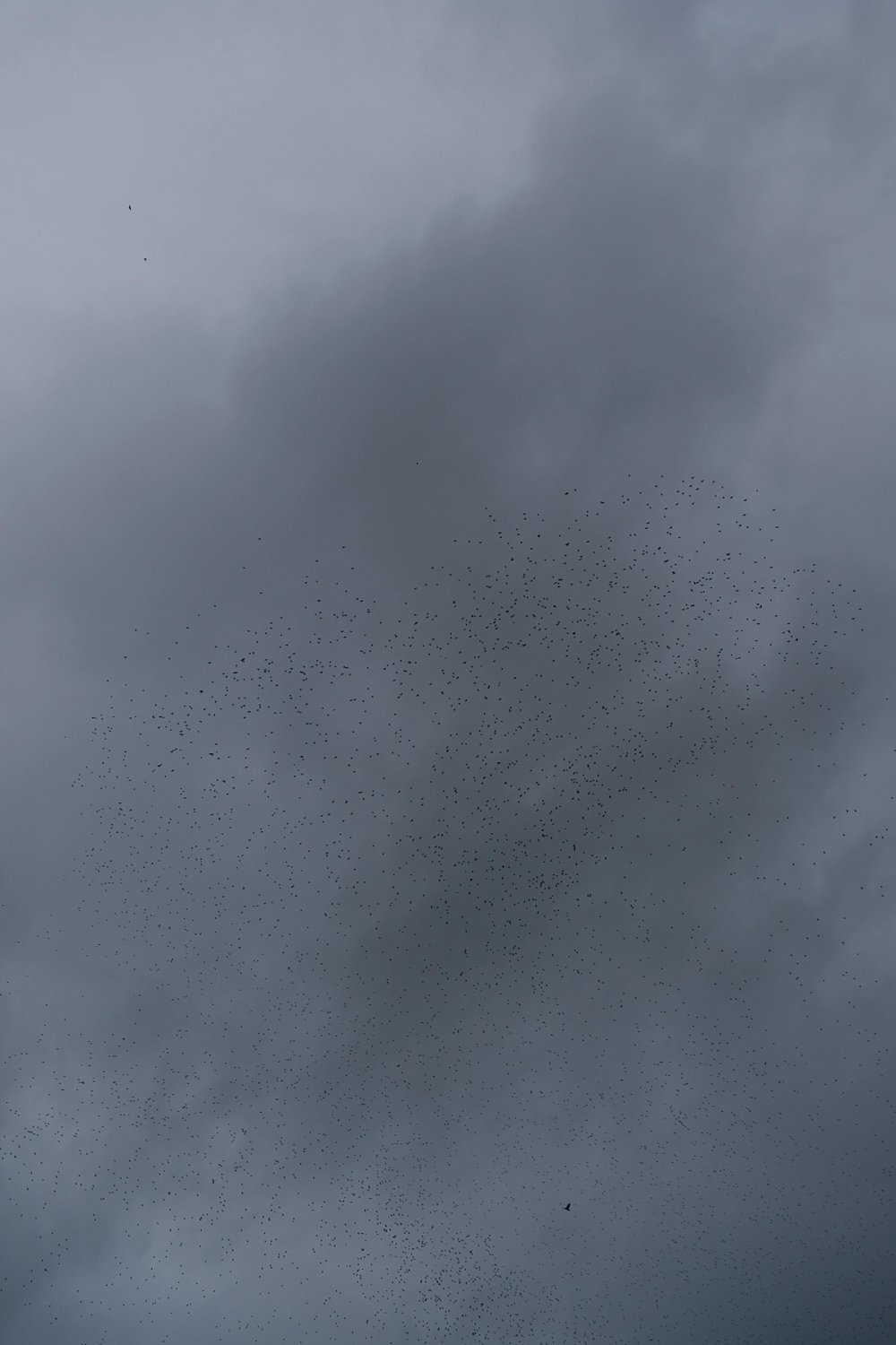 A Florentine Sky post thumbnail