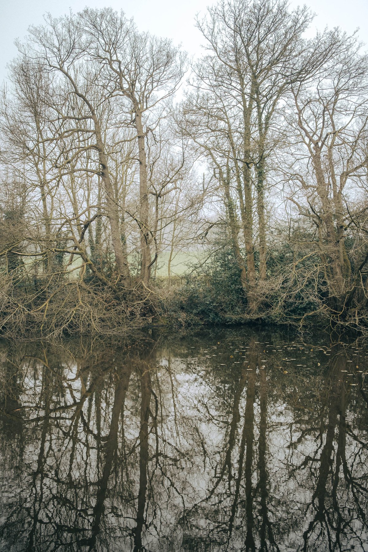 Late Winter at Wyming Brook post thumbnail