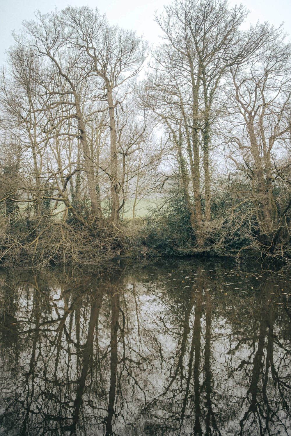 Late Winter at Wyming Brook post thumbnail