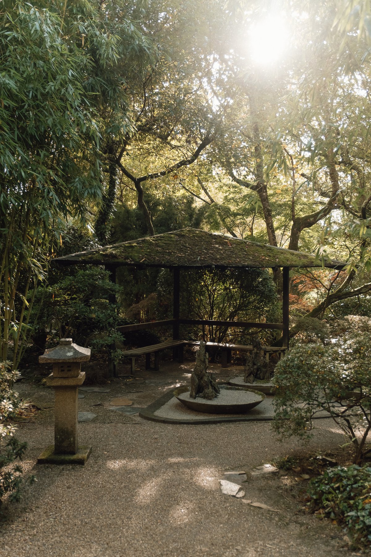 The Japanese Garden post thumbnail